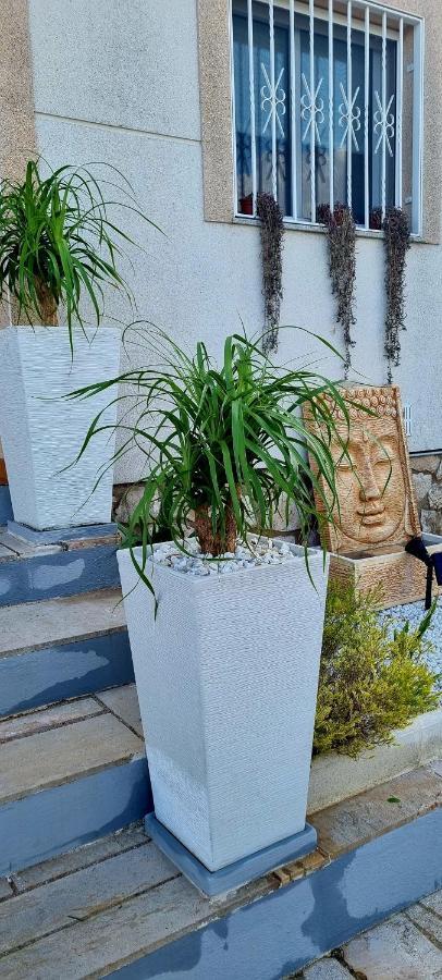 Villa Rosa De Los Vientos Les Tres Cales Zewnętrze zdjęcie
